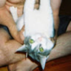 Meet your Posher, Nathan